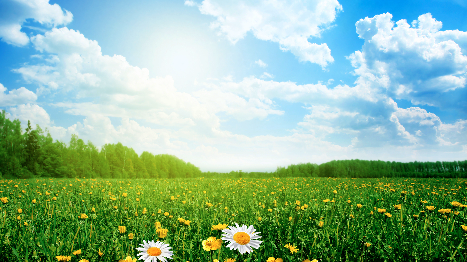 voc-emissions-air-quality-cpca
