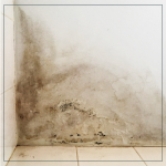 paint_problems_mould